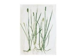 Grass Geschirrtuch -Heimdekoration Rabatt 25111 high