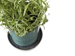 BITZ Übertopf -Heimdekoration Rabatt 872760 detail high